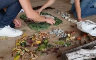 Le land-art ! Une activité créative et originale pour un team building nature à Lyon